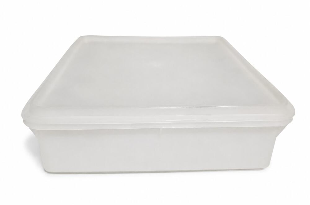 Vintage Tupperware Food Storage Container Made USA 70s